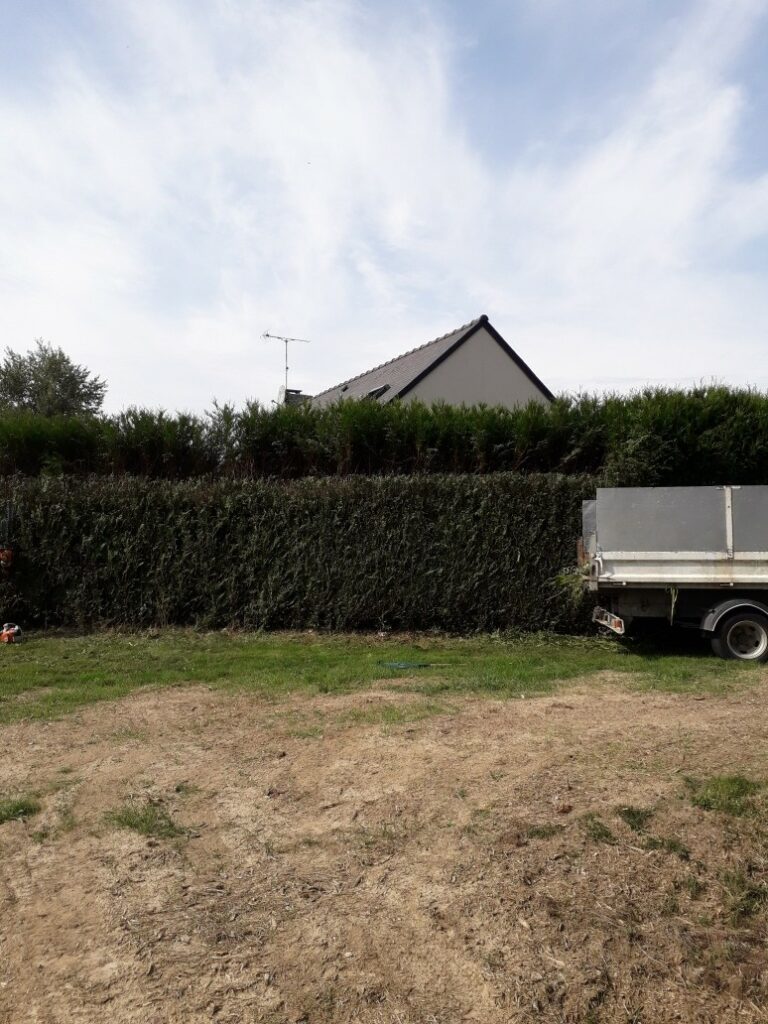 JEAN FRANCOIS HOCHARD ELAGAGE Paysagiste Mordelles Realisations 14