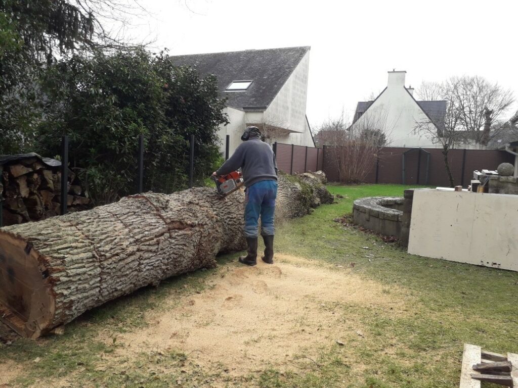 JEAN FRANCOIS HOCHARD ELAGAGE Paysagiste Mordelles Realisations 5